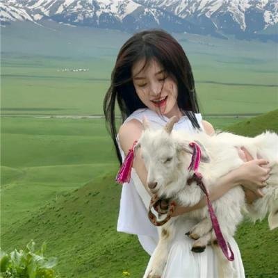 大夏龙帝第一部